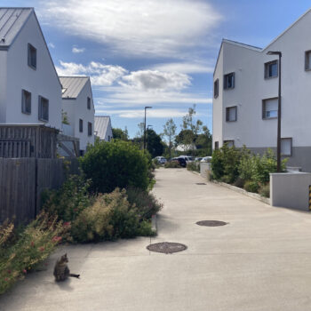 Diversité des formes urbaines et échelles de proximitéCarré d’Ô / Nexity / Bohuon Bertic architectes© Loire-Atlantique développement Source - Loire-Atlantique Développement